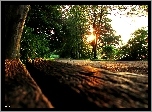 Zachód, Słońca, Park, Ławka