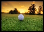Zachód Słońca, Trawa, Piłka, Golfowa