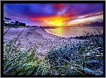 Zachód, Jezioro, Plaża, Trawa