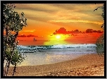 Zachód, Słońca, Plaża, Palmy