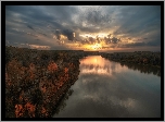 Rzeka Don, Drzewa, Zachód słońca, Rosja