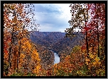 Stany Zjednoczone, Wirginia Zachodnia, Wąwóz, Rzeka, New River Gorge Bridge, Jesień, Drzewa, Lasy