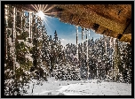 Polska, Beskidy Zachodnie, Gorczański Park Narodowy, Śnieg, Zima, Słońce, Sople, Las