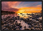 Zachody Słońca, Brzeg, Kamienie, Morze
