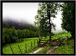 Łąka, Ścieżka, Zagroda, Drzewa