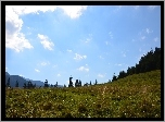 Łąka, Zakopane, Niebo