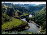 Zalesione, Góry Skaliste, Rzeka, Boise River, Idaho, Stany Zjednoczone