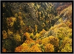Jesień, Zalesione, Góry