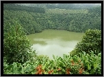 Jezioro, Zalesione, Góry, Kwiatki, Sao Miguel, Portugalia