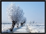 Zamarznięta, Rzeka, Drzewa, Pola, Śnieg