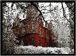 Budowla, Dom, Zima, Ośnieżone, Drzewa, Krzewy