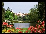 Zamek Pruhonice, Miejscowość Pruhonice, Czechy, Park, Staw, Różanecznik