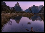 Zatoka Milforda, Fiord Milford, Góry, Alpy Południowe, Góra Mitre Peak, Odbicie, Konar, Park Narodowy Fiordland, Wyspa Południowa, Nowa Zelandia