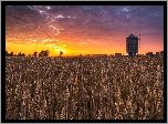 Pole, Zboże, Drzewa, Zachód słońca, Chmury, Silos