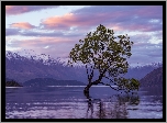 Nowa Zelandia, Jezioro Wanaka, Góry, Pochylone, Drzewo