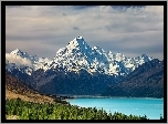 Nowa, Zelandia, Góra, Cooka, Jezioro, Pukaki, Las