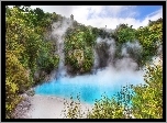 Nowa Zelandia, Waimangu Volcanic Valley, Jezioro, Para
