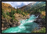 Nowa Zelandia, Rzeka Kawarau, Góry, Las, Skały
