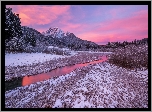 Słowenia, Kranjska Góra, Rezerwat przyrody Zelenci Springs, Wschód słońca, Zima, Rzeka, Drzewa