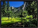 Zielony, Las, Góry, Jezioro