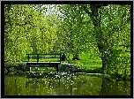 Zielony, Park, Rzeka, Drzewa, Most, Lato