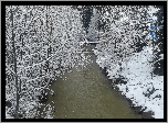 Zima