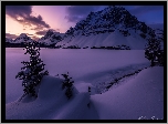 Zima, Góry, Góra Crowfoot Mountain, Zaśnieżone, Jezioro, Bow Lake, Drzewa, Park Narodowy Banff, Alberta, Kanada