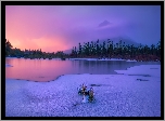 Zima, Jezioro, Vermilion Lake, Szczyt, Góry, Canadian Rockies, Park Narodowy Banff, Drzewa, Mgła, Alberta, Kanada