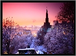 Kościół, Zima, Wielka Brytania, Szkocja, Glasgow, Drzewa, Budynki