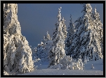 Zima, Śnieg, Drzewa, Cerkiew, Białogórski Monaster św Mikołaja, Biała Góra, Obwód permski, Rosja