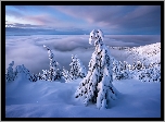 Zima, Śnieg, Drzewa, Mgła, Chmury, Góry