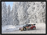 Zima, Las, Citroen DS3