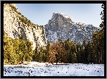Drzewa, Góry, Śnieg, Zima, Park Narodowy Yosemite, Szczyt, Half Dome, Kalifornia, Stany Zjednoczone
