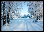 Zima, Ośnieżone, Drzewa, Droga, Śnieg