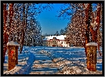 Zima, Śnieg, Dom, Drzewa, Droga