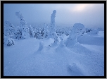 Zima, Finlandia, Laponia, Ośnieżone, Drzewa, Słońce