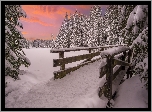 Zima, Śnieg, Drzewa, Mostek