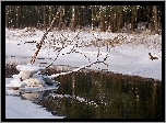 Zima, Śnieg, Drzewa, Rzeka