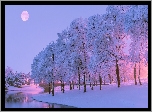 Zima, Śnieg, Rzeka, Drzewa, Księżyc