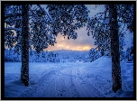 Zima, Zachód słońca, Droga, Drzewa, Śnieg