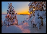 Zima, Wschód słońca, Ośnieżone, Drzewa, Śnieg