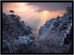 Zima, Góry, Mgła, Drzewa, Przebijające światło, Park prowincjonalny Daedunsan, Jeolla Północna, Korea Południowa
