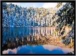 Zima, Lasy, Jezioro, Odbicie