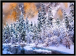 Zima, Góry, Las, Drzewa, Park Narodowy Yosemite, Rzeka Merced River, Stany Zjednoczone, Kalifornia