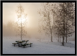 Zima, Śnieg, Drzewa, Mgła, Ławka