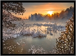 Zima, Jezioro, Las, Mgła, Świt