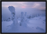 Zima, Góry, Zaśnieżone, Drzewa, Mgła, Finlandia