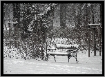 Zima, Ławka, Śnieg, Park