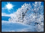 Zima, Drzewa, Śnieg, Słońce