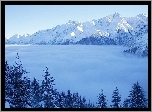 Zima, Choinki, Góry, Śnieg, Mgła